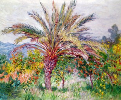 ボルディゲーラのヤシの木、1884年 作： Claude Monet